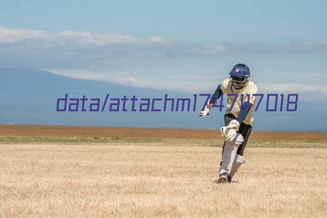 gamint-theme-anasayfa-3.png
